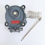 R.Stahl_Type_23__12300_Temperature_Control_20-120_DegC_15A_220V_1