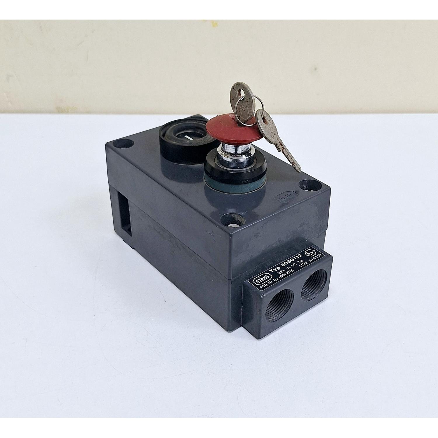 1239_Stahl_Typ_8030__803012_Switch_500V_Lamp_220V6