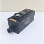 532_BBC_Brown_Boveri_EX42_804-21515P_Light_SK_820AD_Switch10