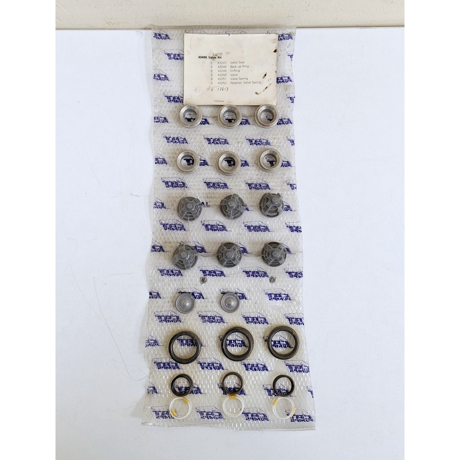 CAT_Pumps_30489_Valve_Kit_CAT_Pumps_30489_Valve_Kit_2